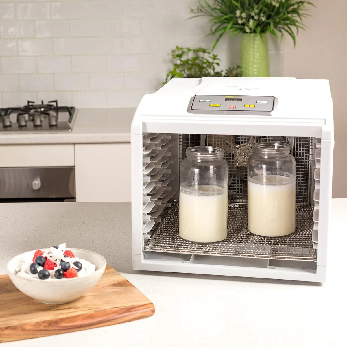 Deshidratador de Alimentos BioChef Arizona Sol - 6 Bandejas Acero Inoxidable | 500W | Temporizador | Temperatura 35-70º | Deshidratadora | Yogurtera | Sin BPA