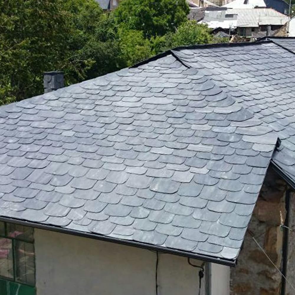 Sopgal Limpiador de Humedades para Tejados, Fachadas y Suelos 25L