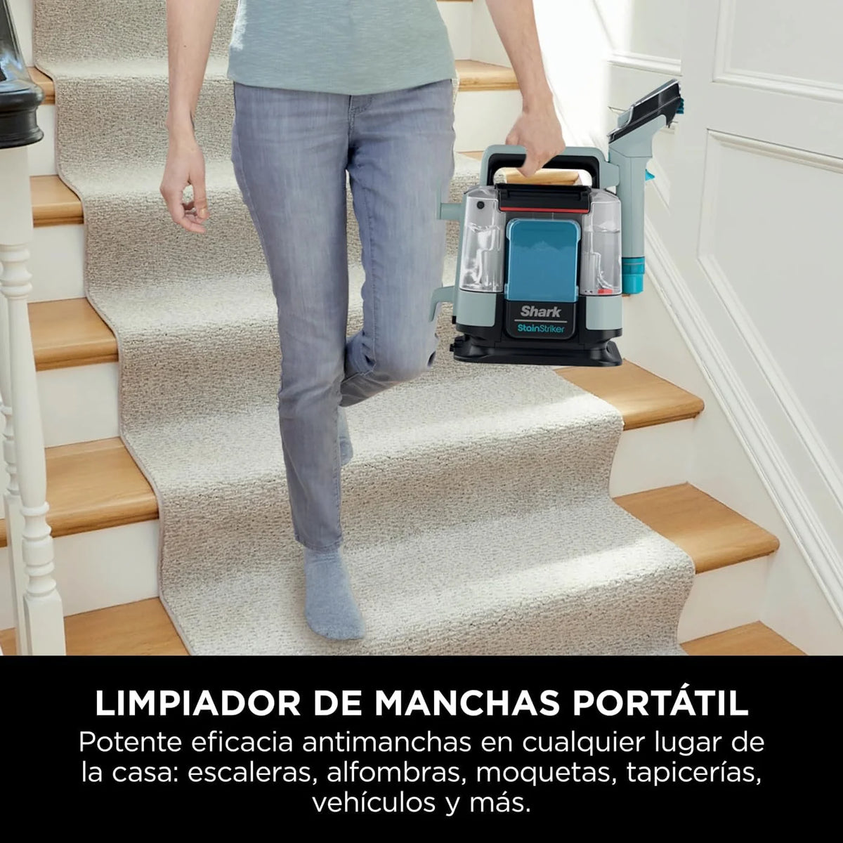 Shark StainStriker, Limpiador Quitamanchas con 5 Accesorios, 450W, Gris