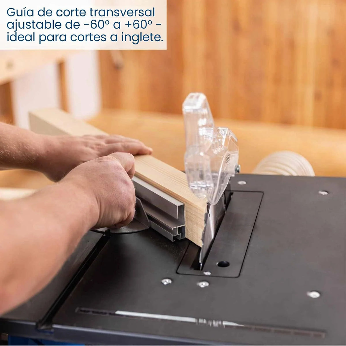 Scheppach - Sierra para mesa (HS210-1500 W, 230 V, diámetro de 210 mm)
