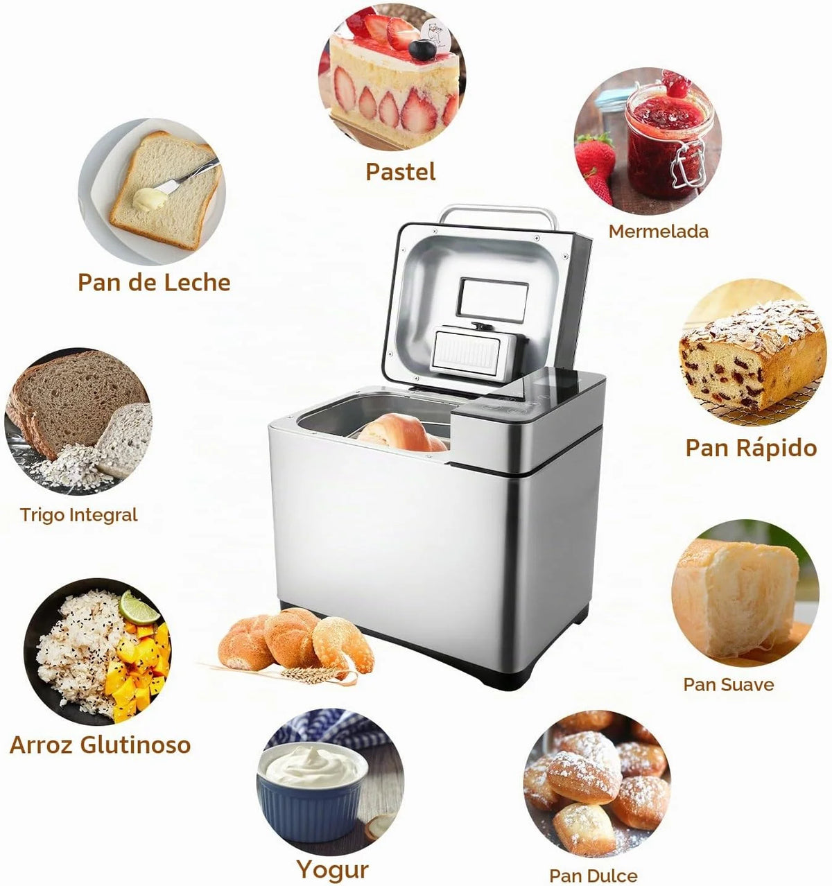 COOCHEER Panificadora Completamente Automática,Panificadora de Corteza crujiente con 19 Programas,710W,Programable para Hacer Pan,para Panes Artesanales, sin Gluten, Masas,Bizcochos y Mermeladas