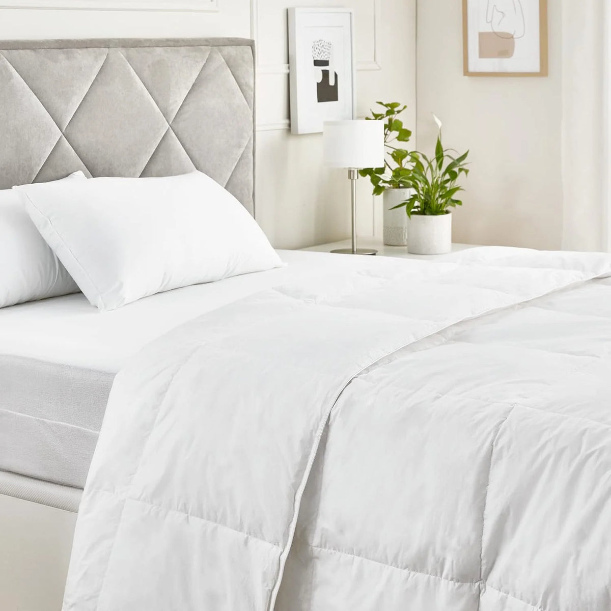 Pikolin Home, RP204 – Goose Down Duvet 92% with Autumn/Winter Cotton Fabric and Rooms with Medium Temperatures