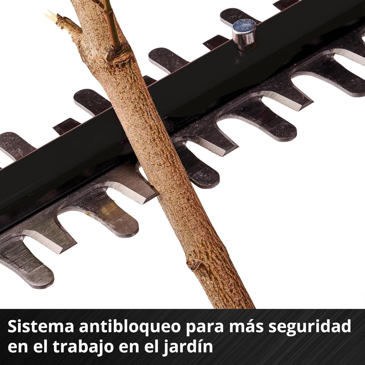 Einhell Professional Cortasetos telescópico con batería GP-HH 18/50 Li T BL