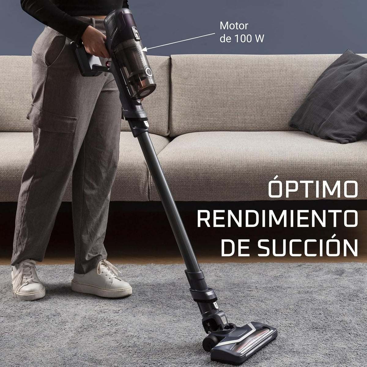 Rowenta X-Pert 6.60, Aspiradora Escoba Sin Cable, Lila