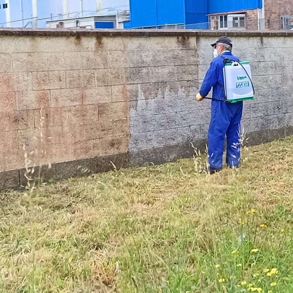 Sopgal Limpiador de Humedades para Tejados, Fachadas y Suelos 25L