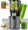 SJ-065 Extractor de Zumos en Frío, 400W, Boca XL 152 mm