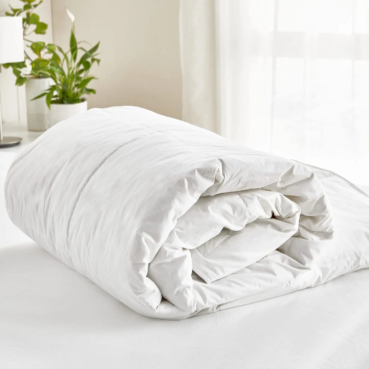 Pikolin Home, RP204 – Goose Down Duvet 92% with Autumn/Winter Cotton Fabric and Rooms with Medium Temperatures