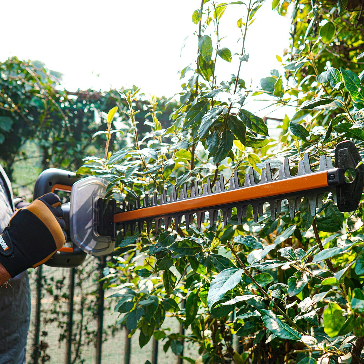 WORX Nitro - Cortasetos inalámbricos 20 V - 4 Ah - Hoja de 56 cm - Diámetro 27 mm - WG263E (Suministro con batería y Cargador, Motor sin escobillas, Cuchillas de Doble acción)