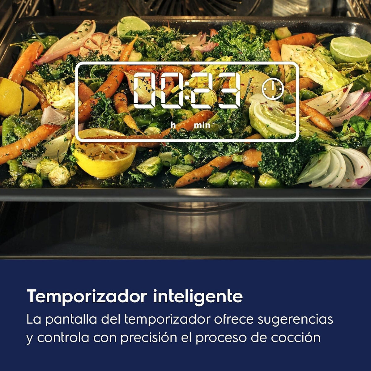 Electrolux COH3H54TX Horno Multifunción con limpieza fácil, 7 funciones, Grill, Calentamiento rápido, Temporizador LED, Seguridad infantil, Cocción en 2 niveles, 72 Litros, Inox, Clase A+