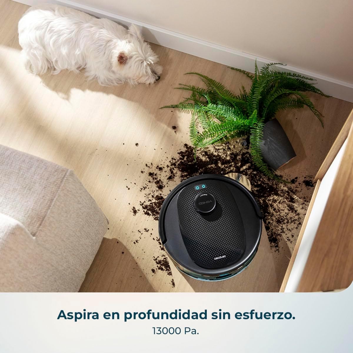Cecotec Robot Aspirador y Friegasuelos con IA Conga Y80 X-Treme