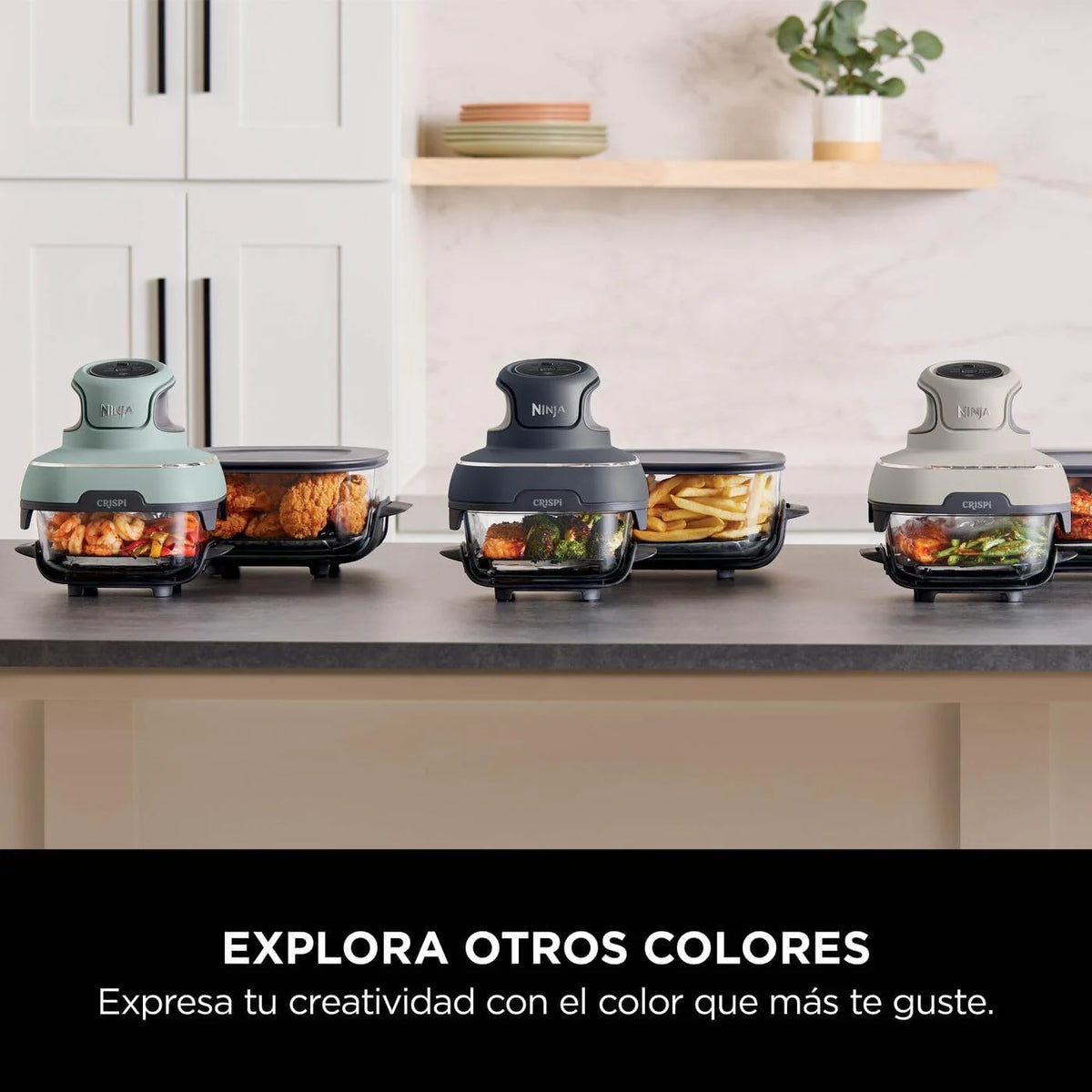 Ninja CRISPi, Freidora de Aire Portátil 4 en 1, 3,8L, Piedra