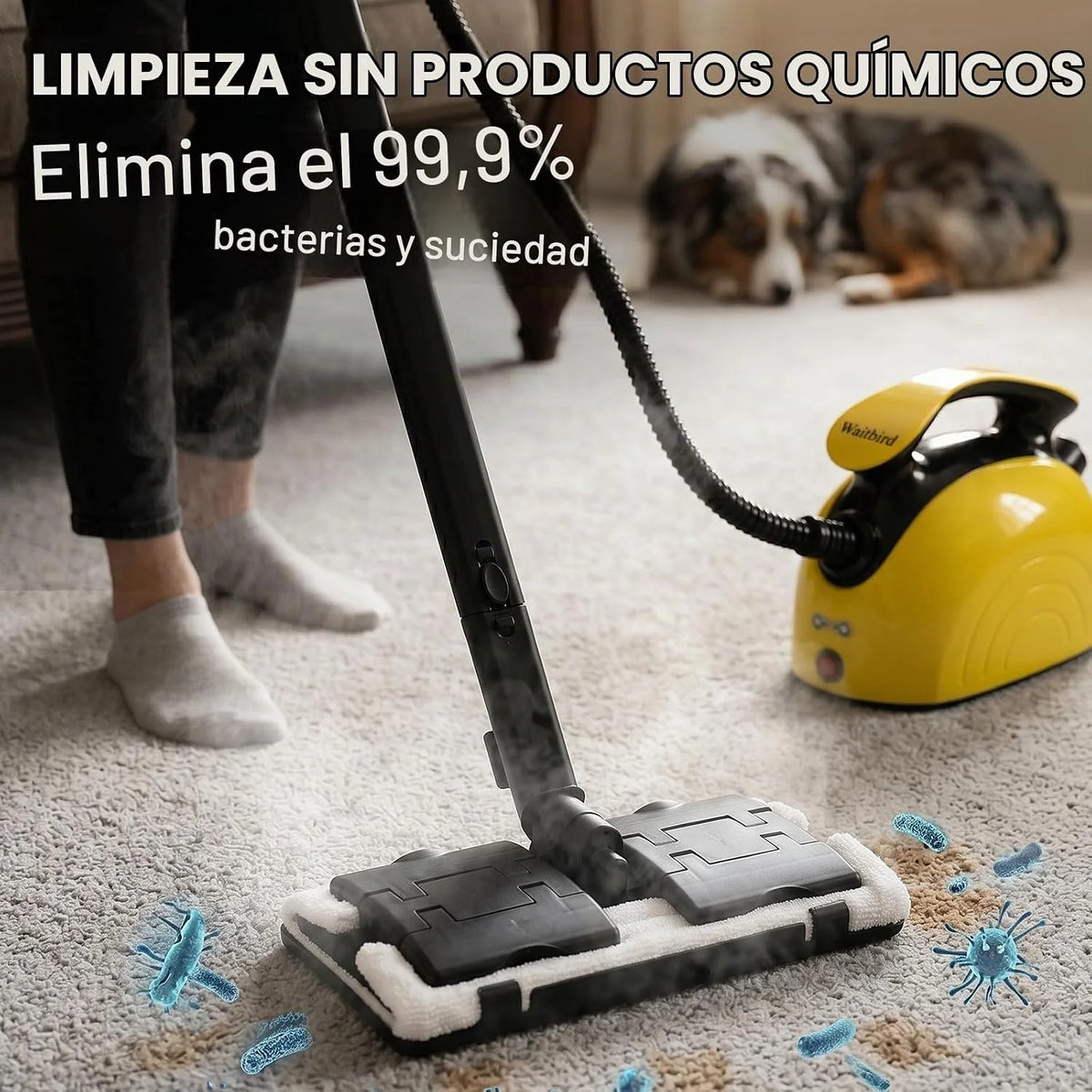 Waitbird Limpiador a vapor de 5 bares, 160 °C, con 21 accesorios para el